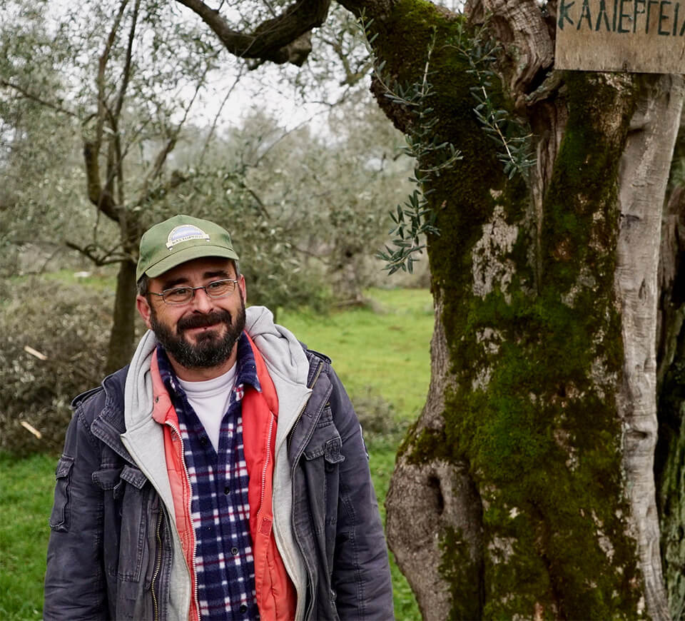Artisan Standing Next to Olive Tree Artisan Standing Next to Olive Tree